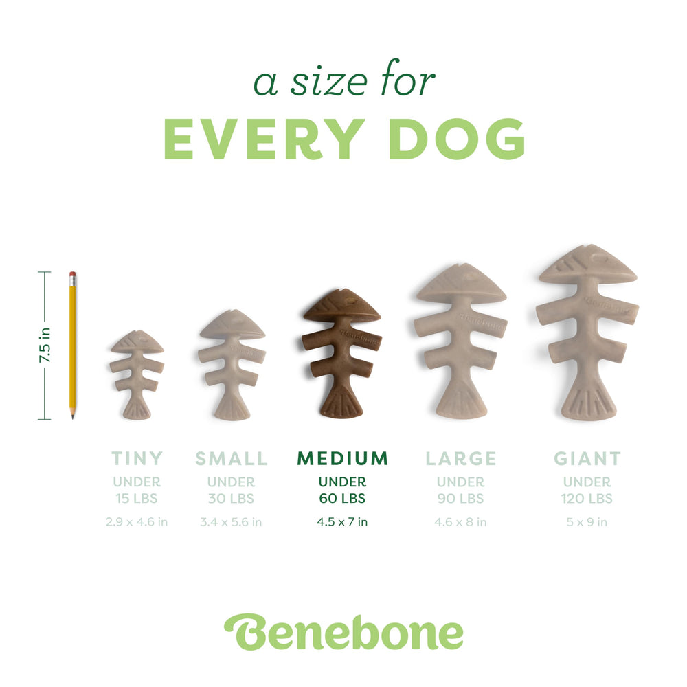 Benebone Fishbone comparaison taille avec une main pour évaluer adéquation