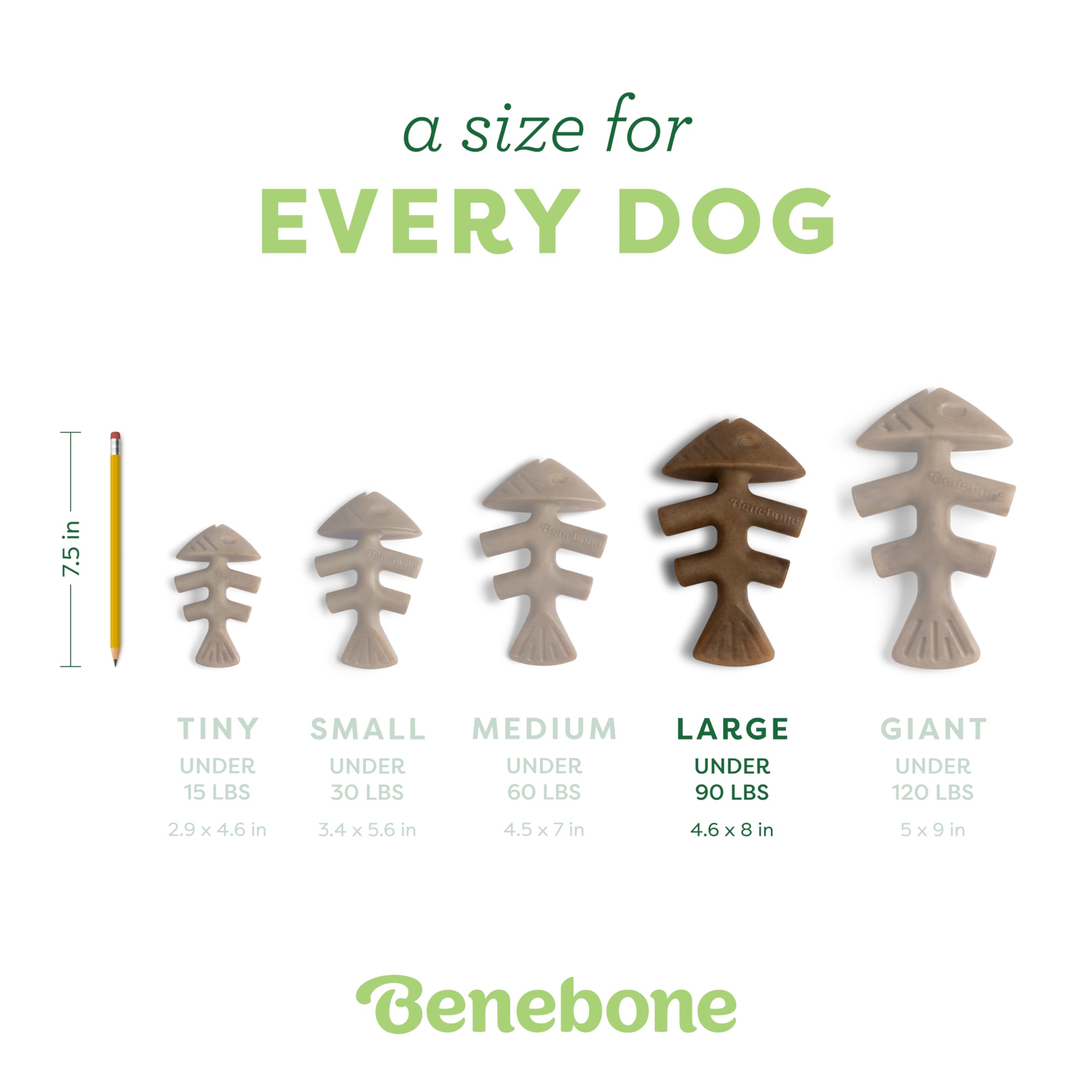 Benebone Fishbone comparaison taille pour choisir la taille adaptée