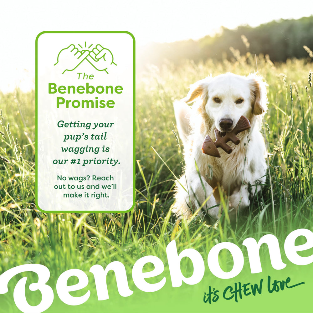 Benebone Fishbone en caisse lors d’un voyage distraction prolongée