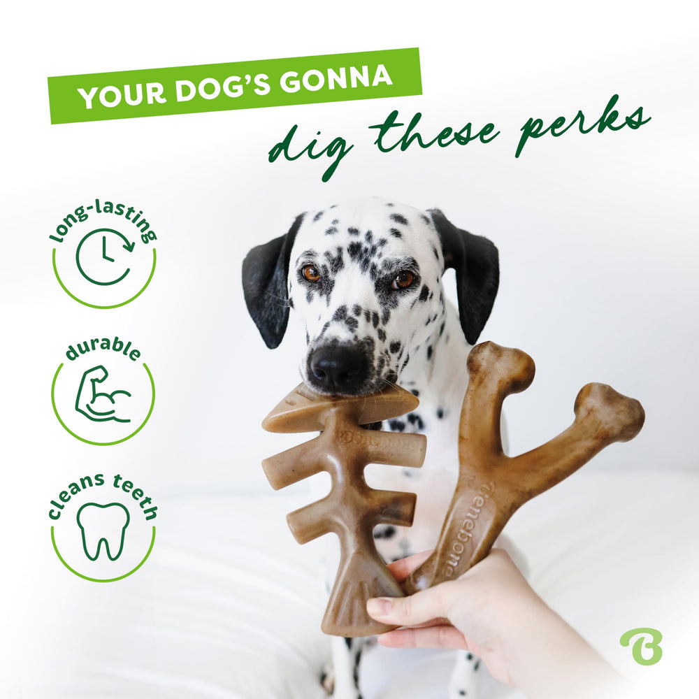 Benebone Fishbone gros plan arôme saumon pour attirer et stimuler chien