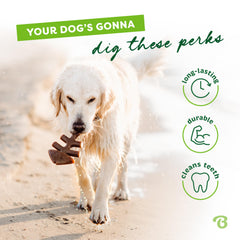 Benebone Fishbone chien tient le jouet apaisement et stimulation