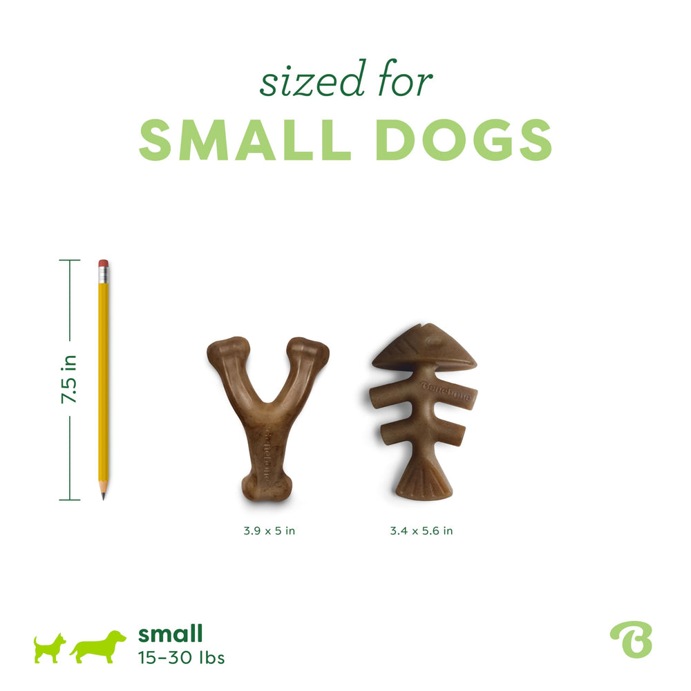 Chien petit tenant un Benebone en mâchant, démontrant prise facile et distraction durable