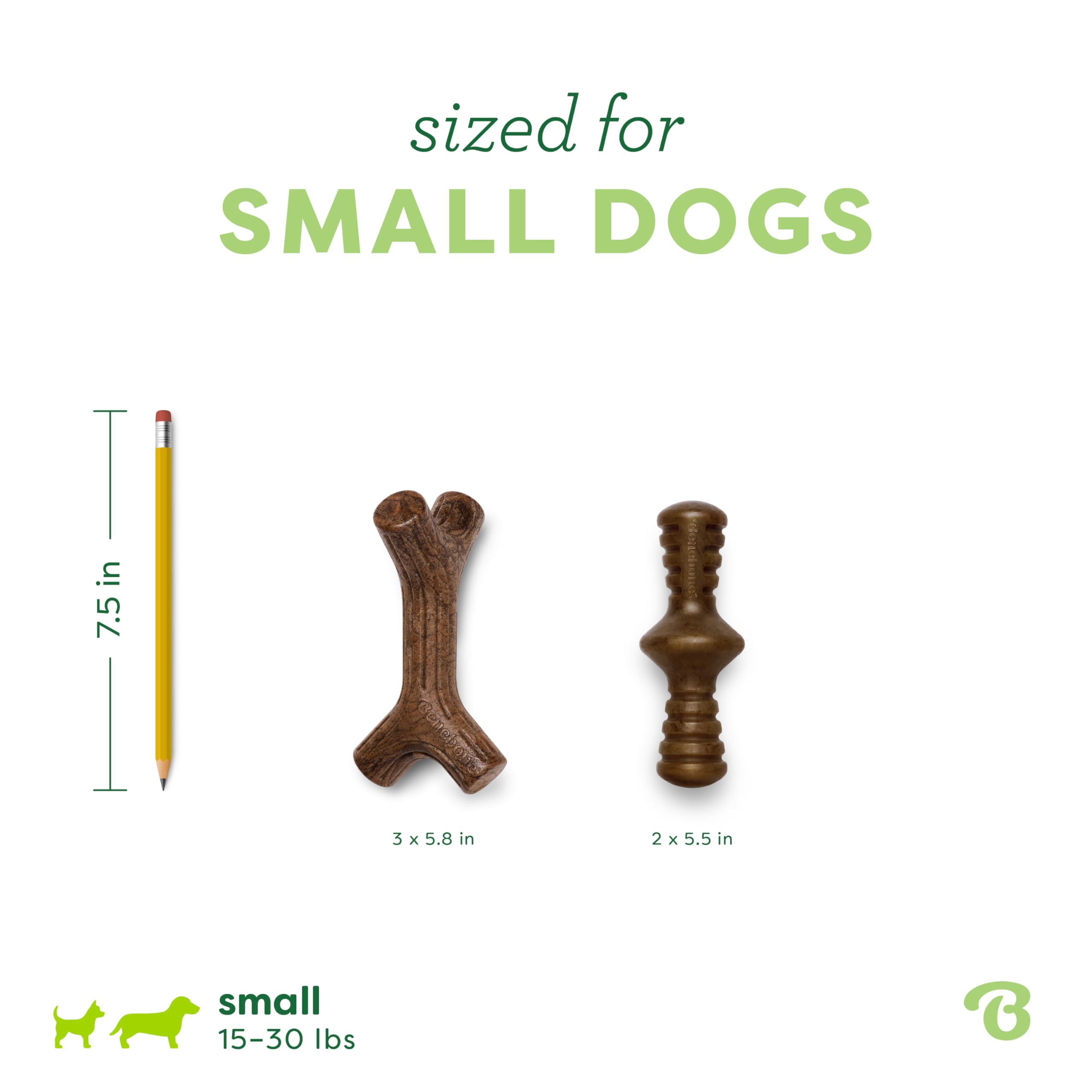 Benebone jouet en usage par petit chien, occupe et calme le chien