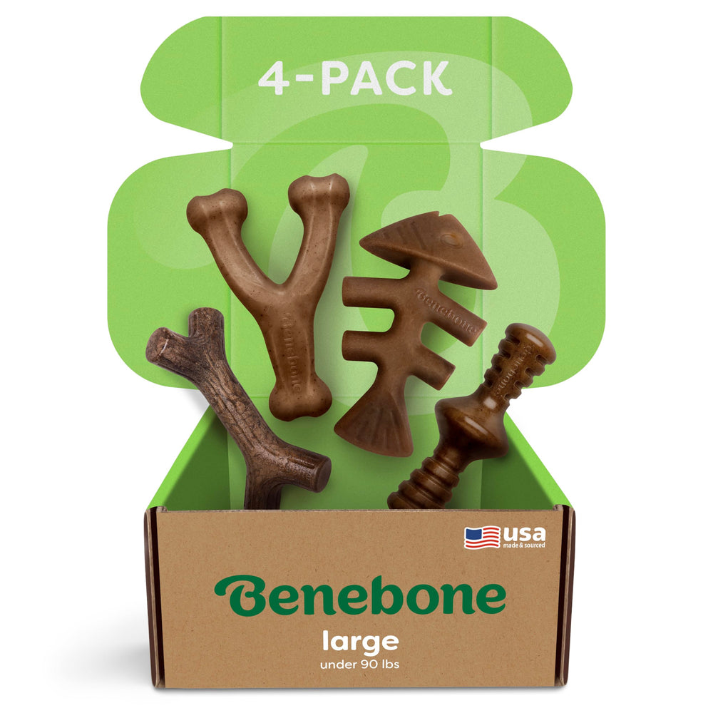 Benebone vue avant montrant le coffret et les quatre os résistants