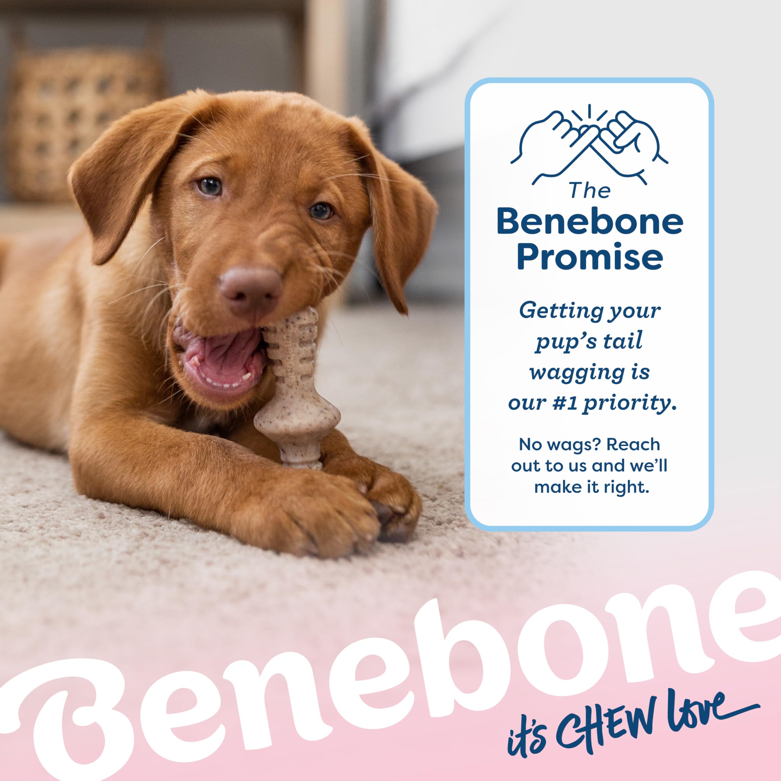 Benebone chiot sur tapis jouant calmement, idéal pour trajets et moments en caisse