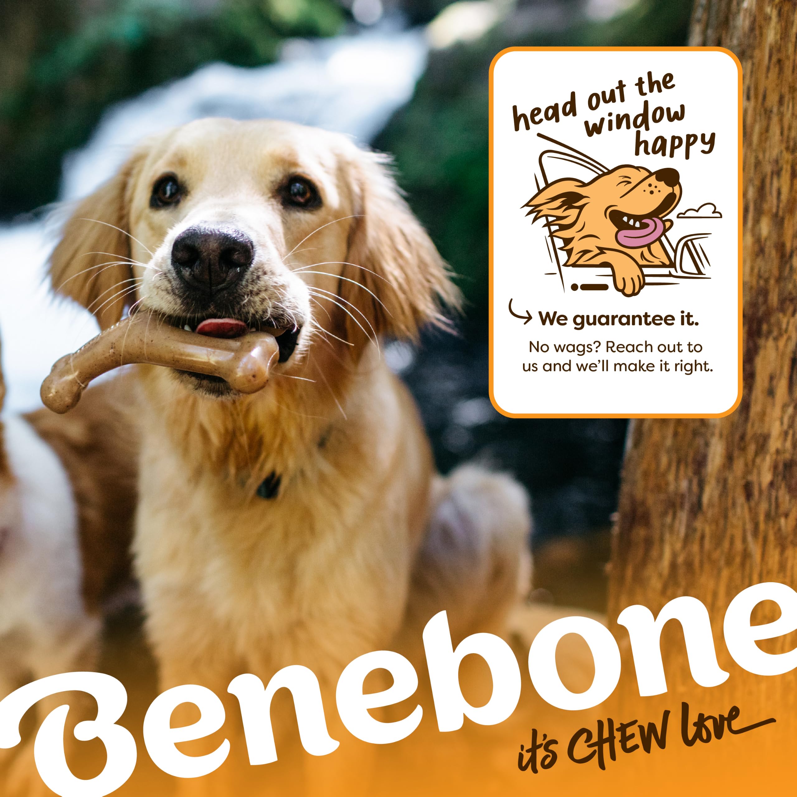 Mise en scène automne avec Benebone Wishbone illustrant édition limitée et plaisir