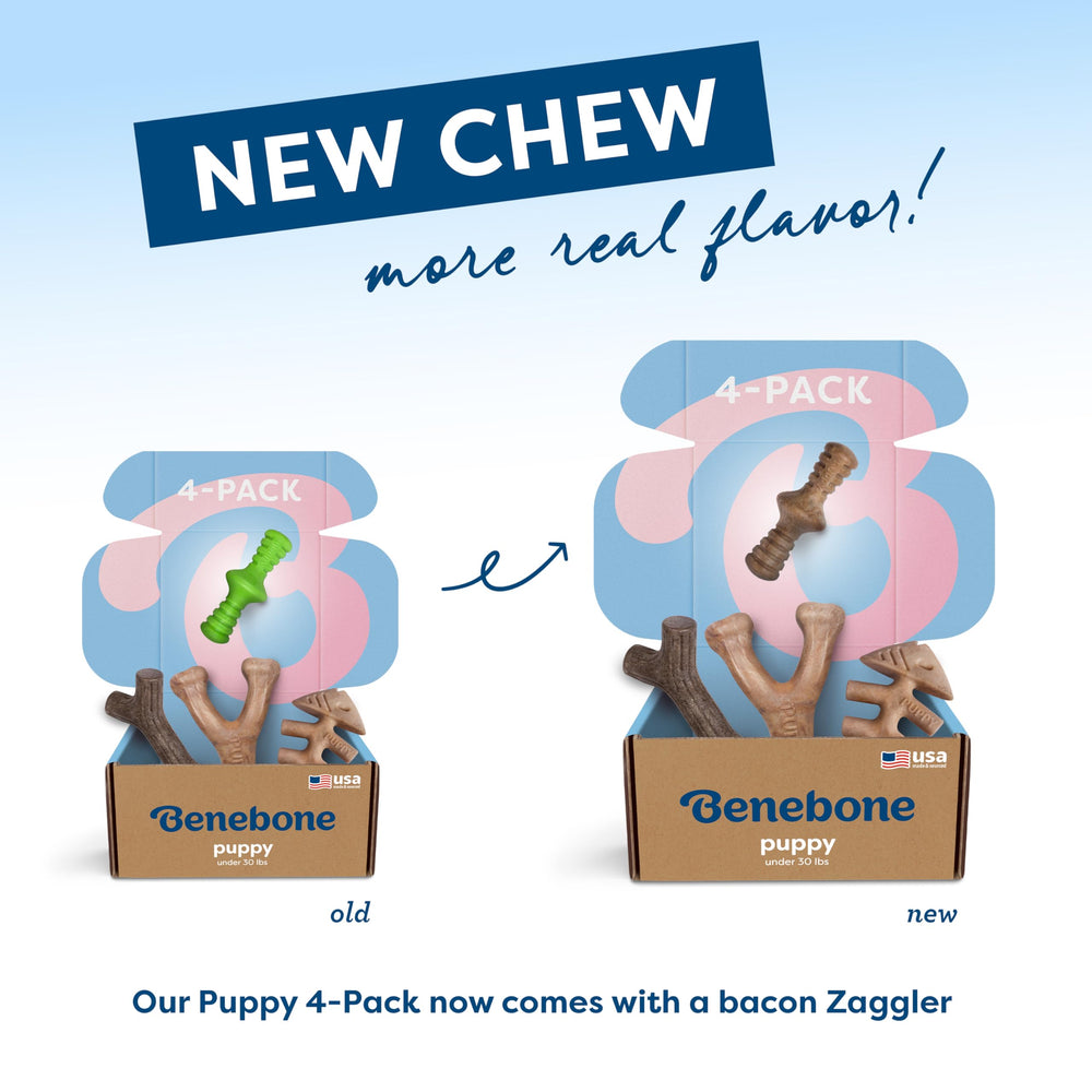 Pack Benebone ouvert montrant les quatre jouets, rotation et remplacement facile