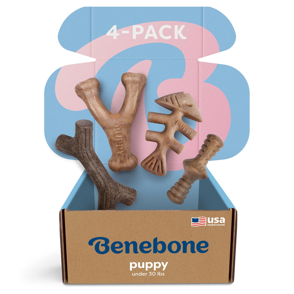 Benebone emballage avant montrant le coffret de quatre jouets, clarté produit Benebone