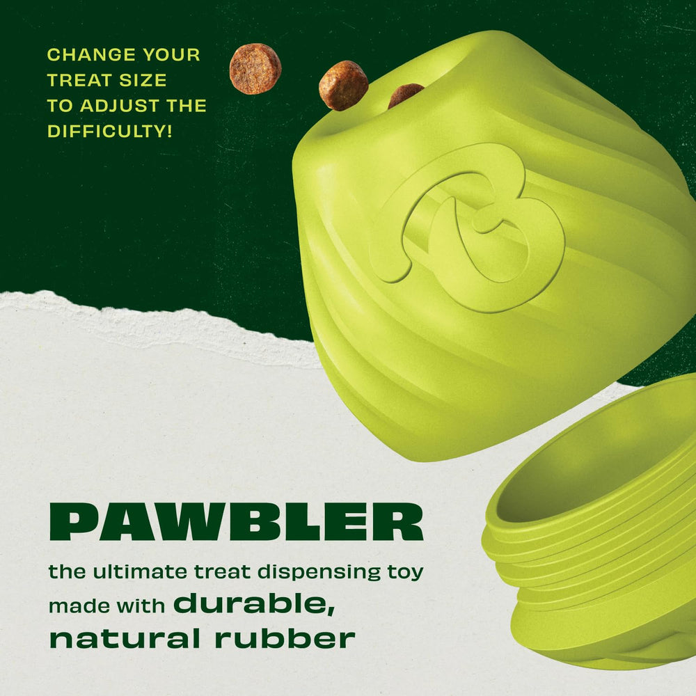 Benebone Pawbler utilisé par chien actif, favorise exercice et récompense