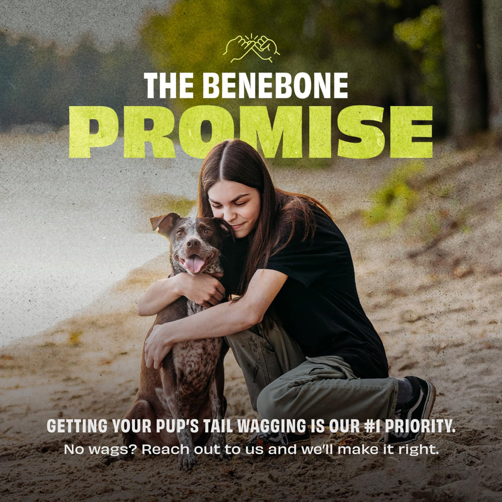 Benebone Pawbler posé en intérieur pour enrichir la routine quotidienne