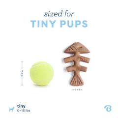 Comparaison de taille du Benebone Fishbone Tiny montrant échelle adaptée