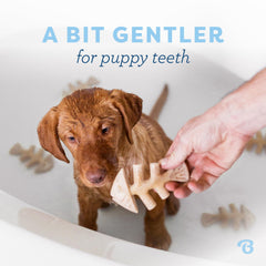 Gros plan sur la texture du Benebone Fishbone pour massage des gencives