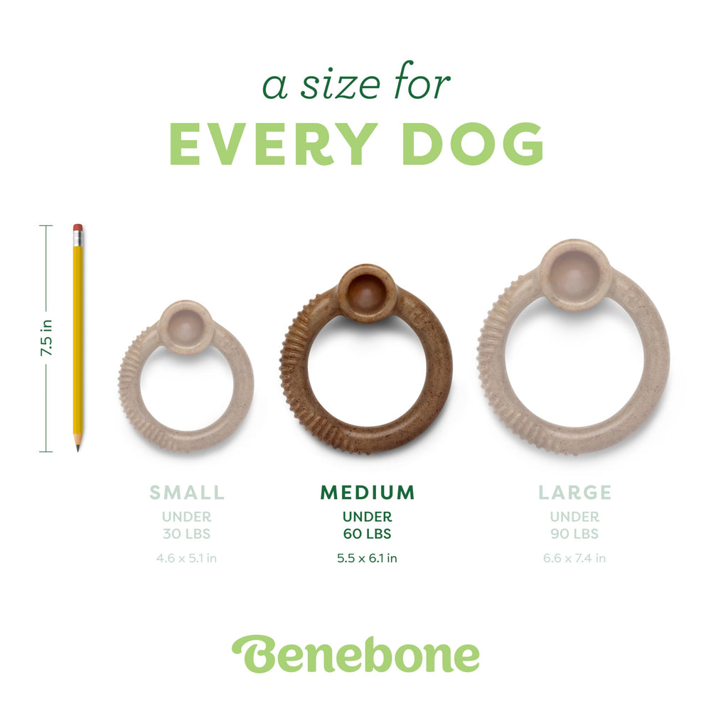 Benebone chien mâchant pour enrichissement et réduction d'ennui