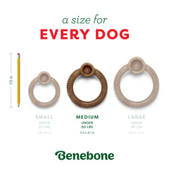 Benebone Ring comparaison de taille medium pour choisir la bonne option