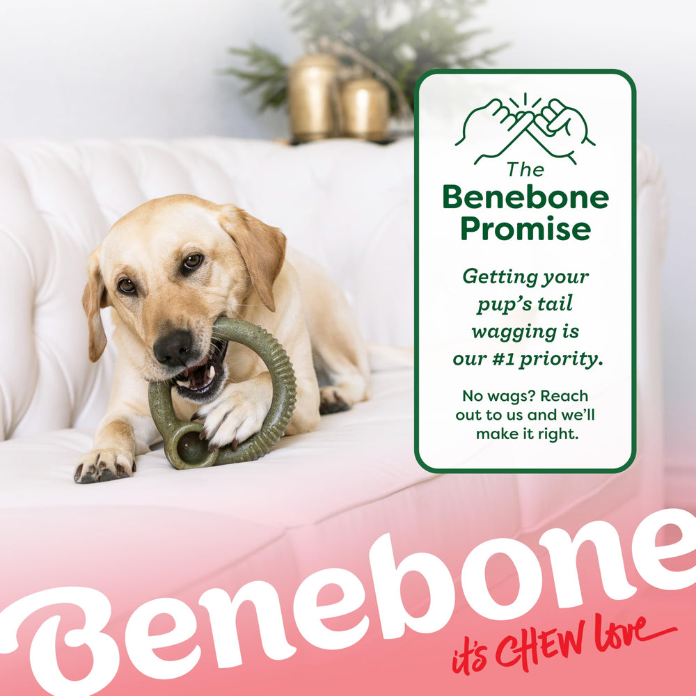Benebone Ring détail du matériau évoquant la menthe et durabilité