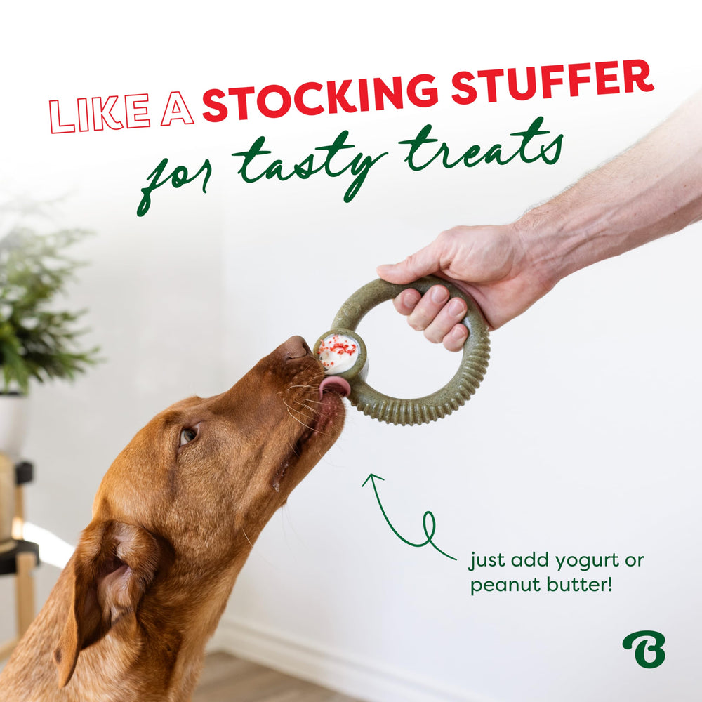 Benebone Ring en usage avec chien mâcheur détendu et concentré