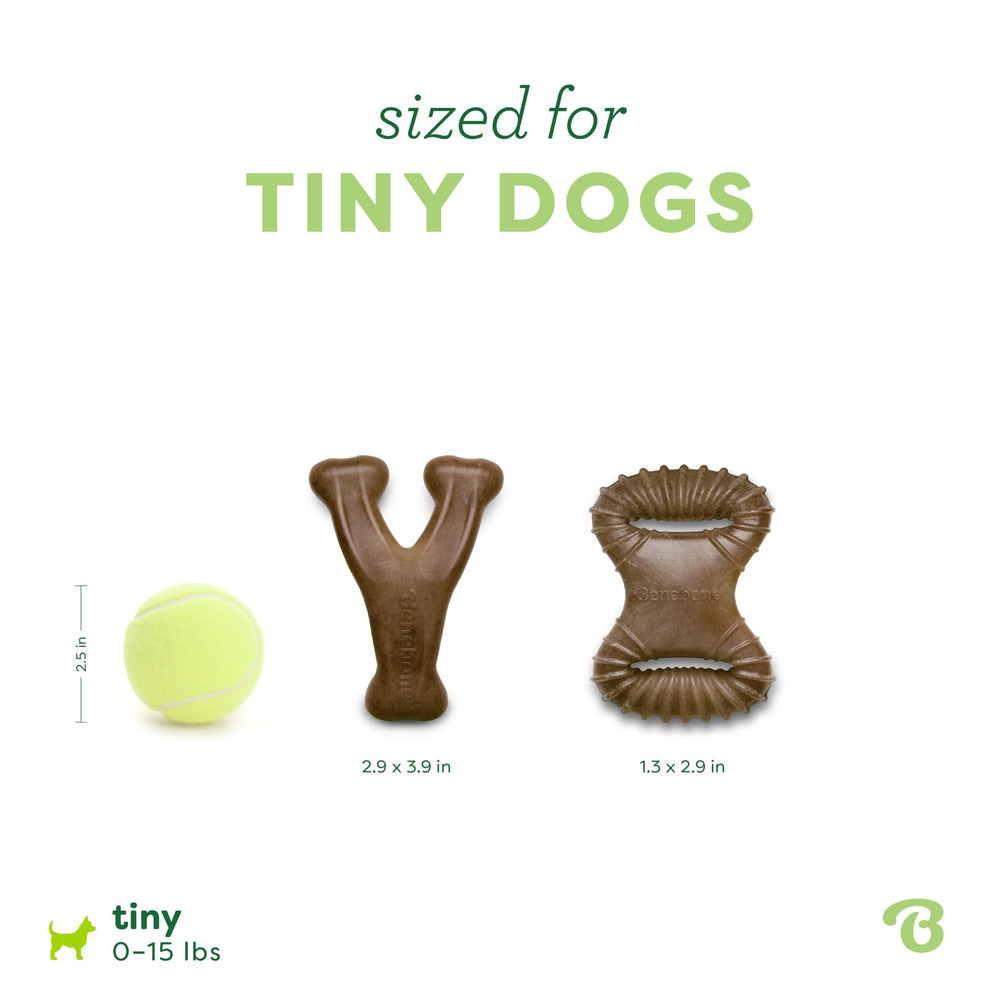 Comparaison de taille Benebone Tiny à côté d'une main pour évaluer l'échelle bénéfice ajustement