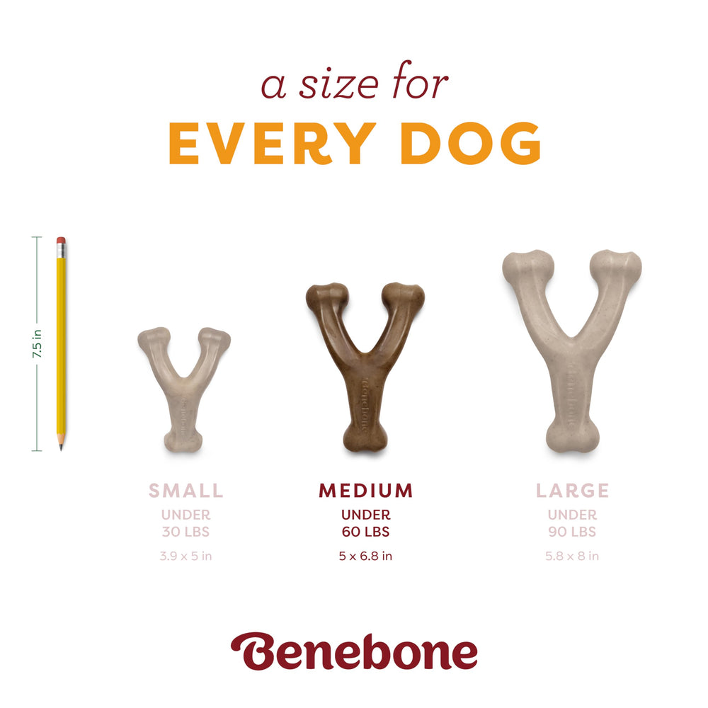 Benebone détail des crêtes facilitant le nettoyage mécanique