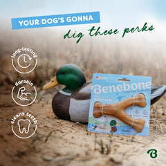 Benebone Wishbone Duck posé à côté d'un objet pour comparer taille moyenne pratique