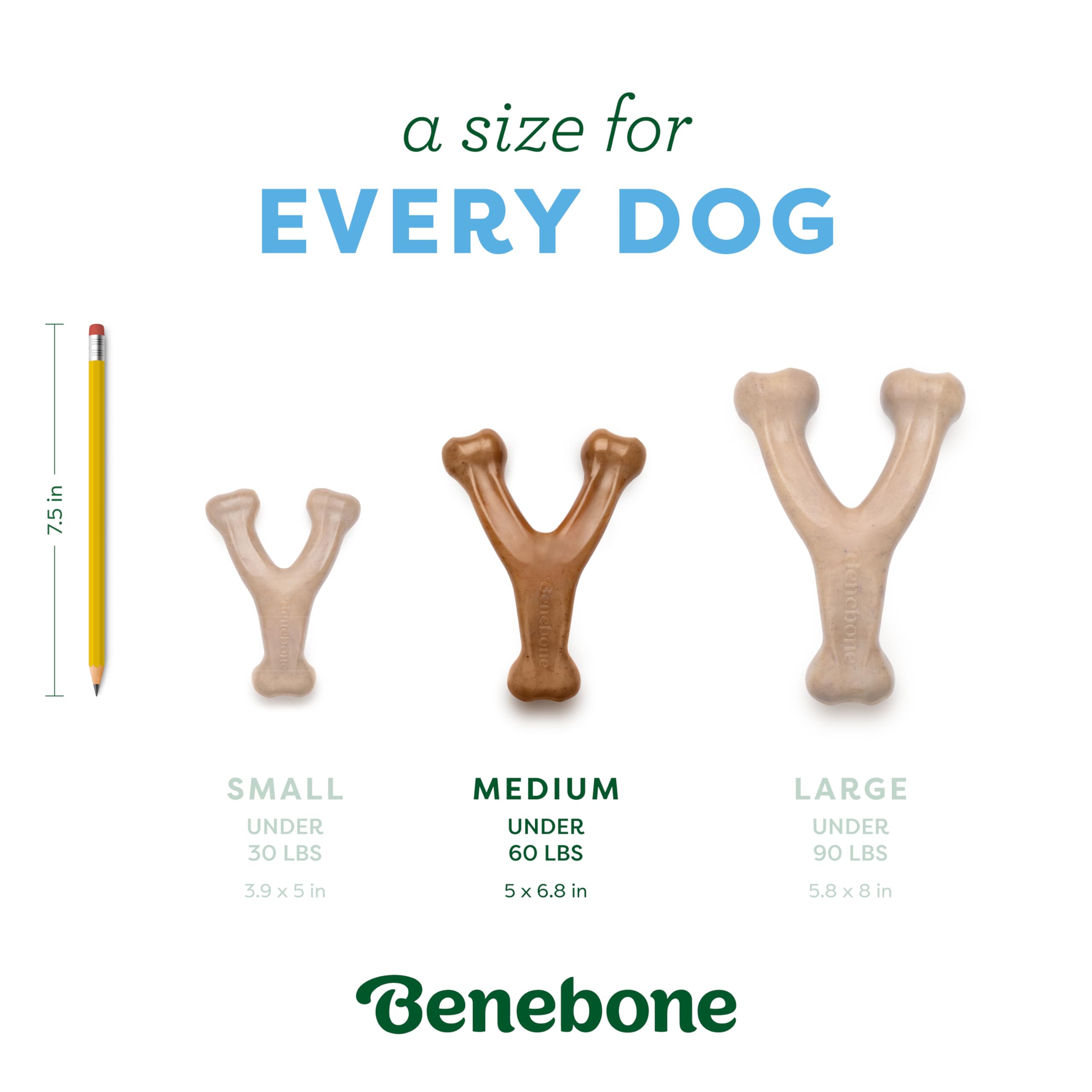 Gros plan sur marquage Benebone et motif du wishbone indiquant qualité américaine