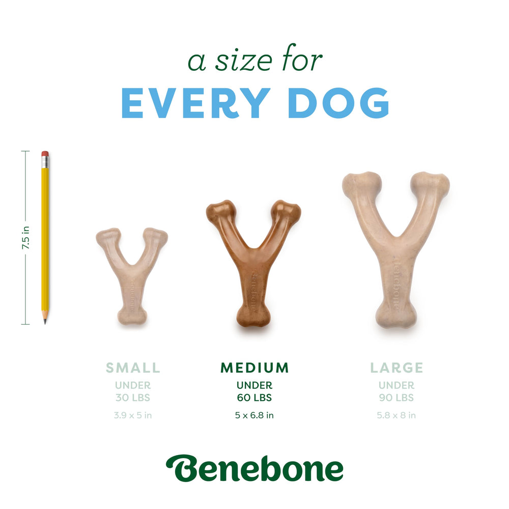 Gros plan sur marquage Benebone et motif du wishbone indiquant qualité américaine