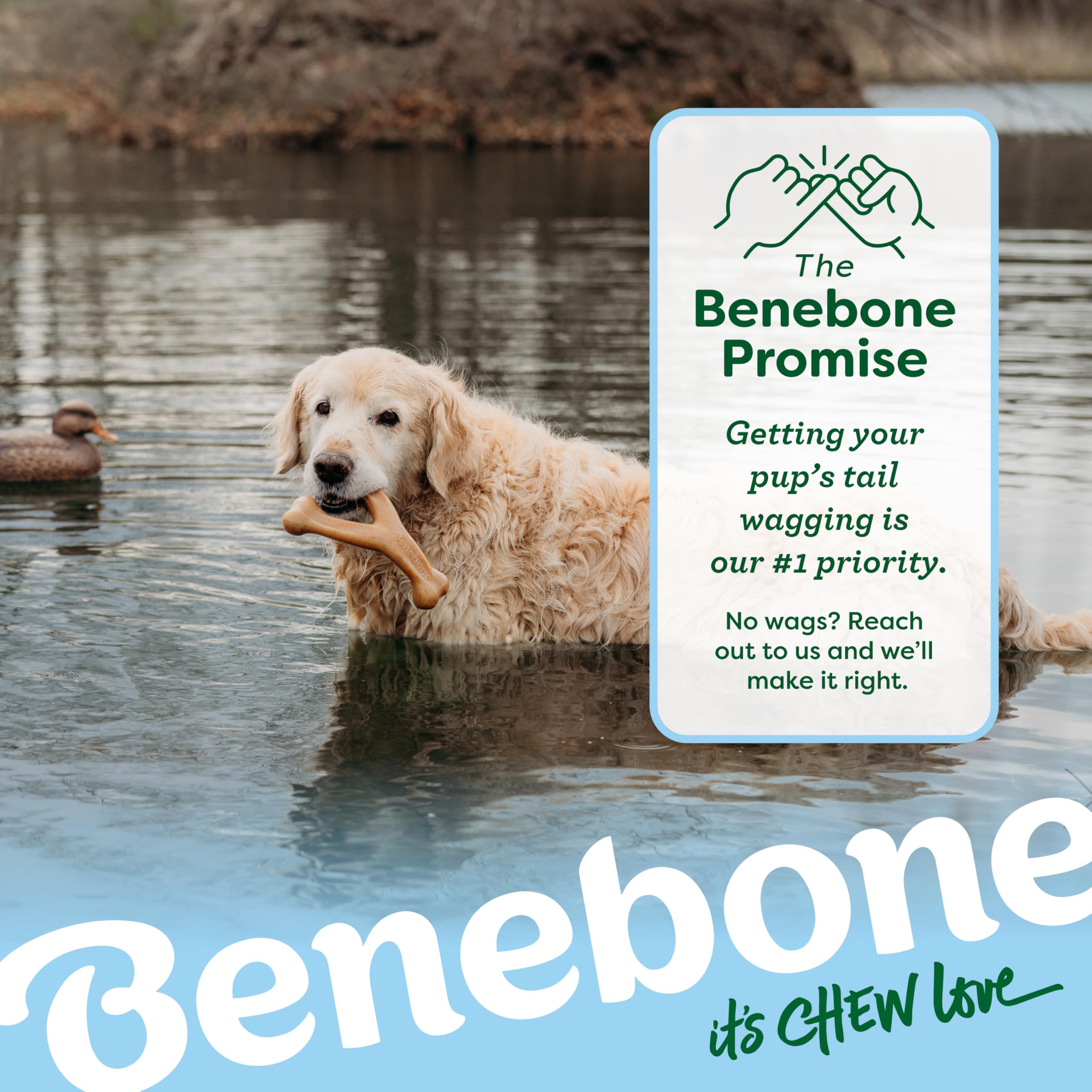 Décor extérieur avec chien mâchant Benebone montrant jouet adapté aux promenades