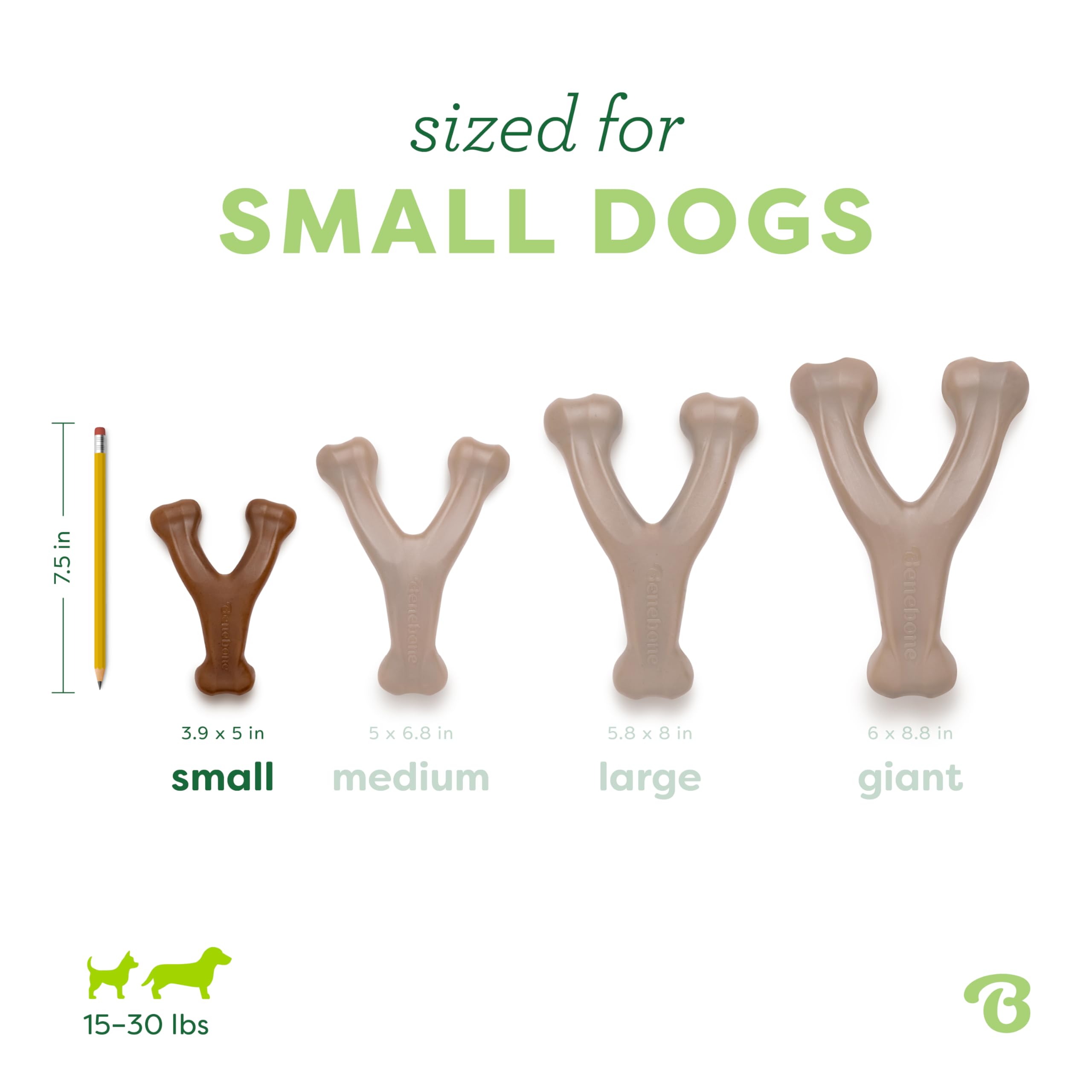 Benebone Wishbone posé près d’une patte pour montrer la taille small adaptée aux petits chiens