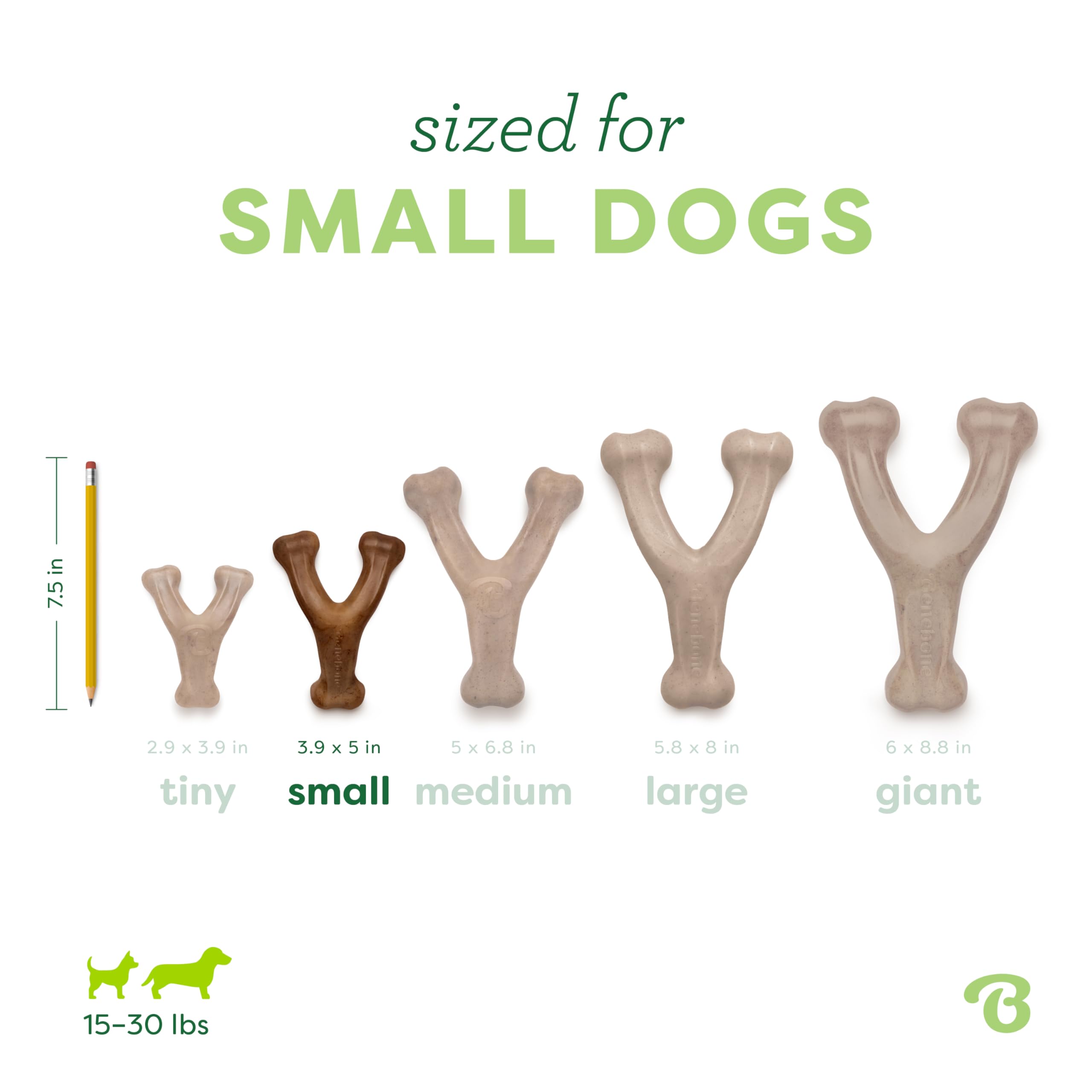 Benebone Wishbone comparaison taille dans une main pour évaluer dimensions