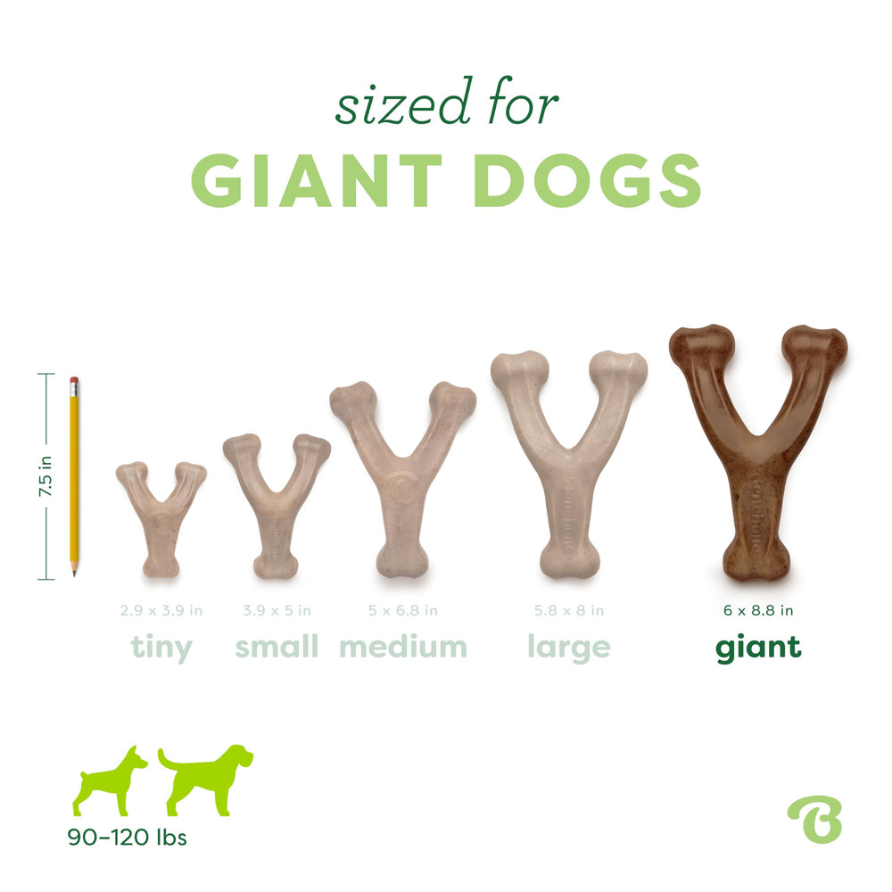 Comparaison de taille Benebone Wishbone Giant pour grandes races