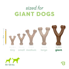 Comparaison de taille Benebone Wishbone Giant pour grandes races