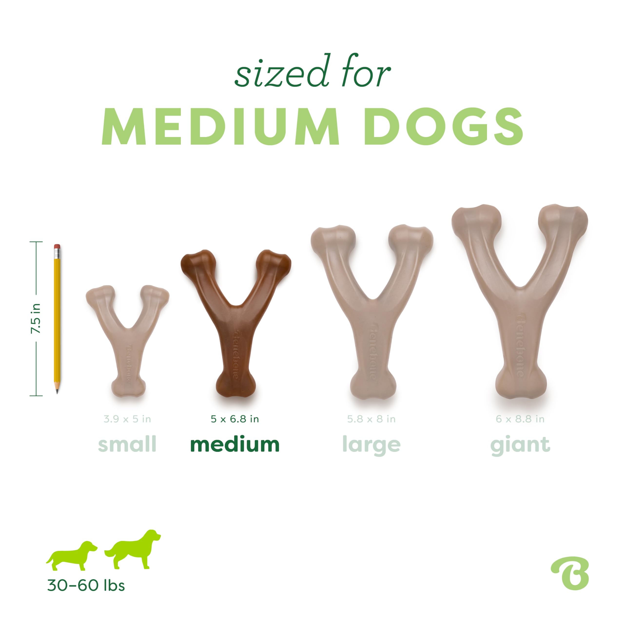 Benebone comparaison taille montrant convenance pour chien moyen