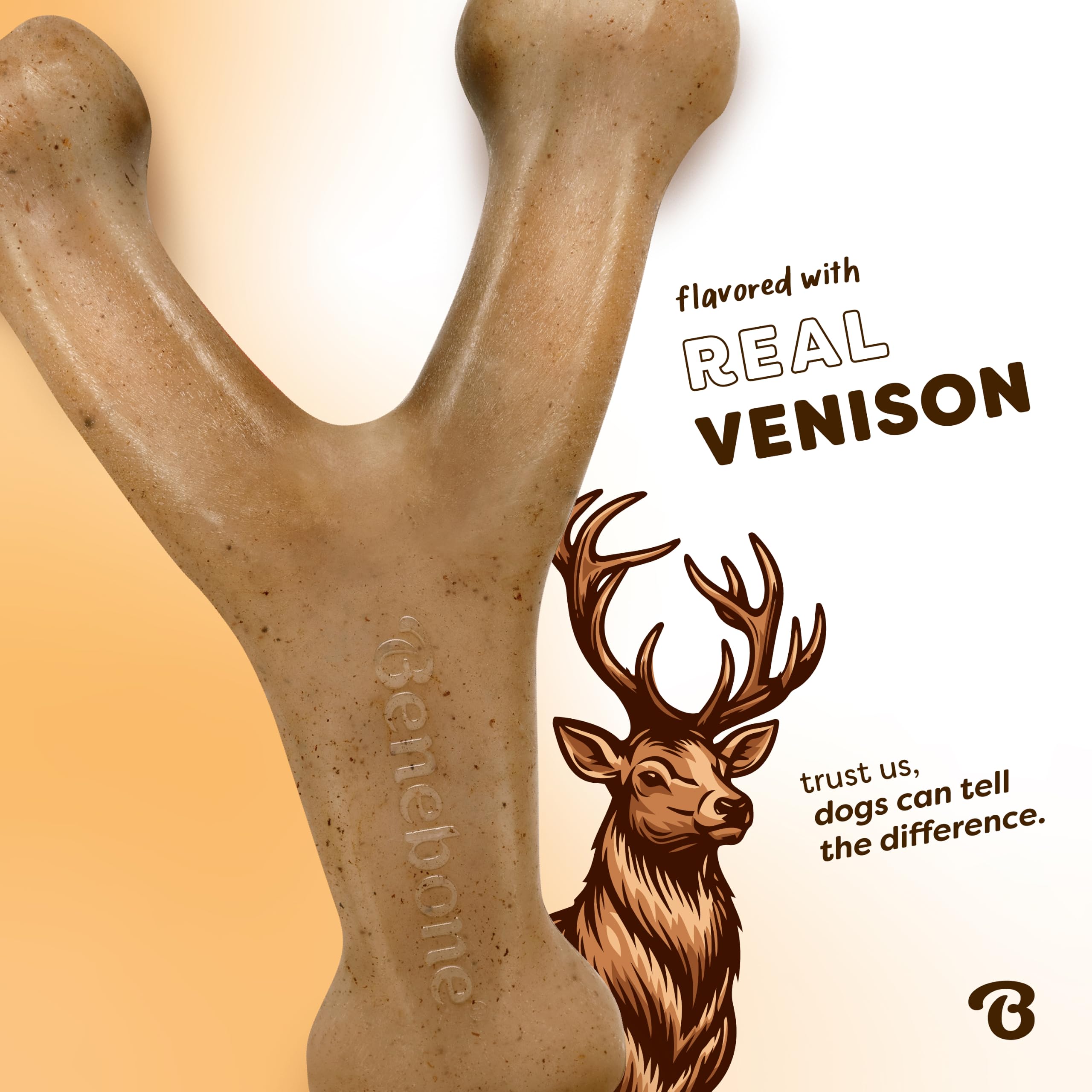 Benebone chien tenant le wishbone pour maniabilité et plaisir