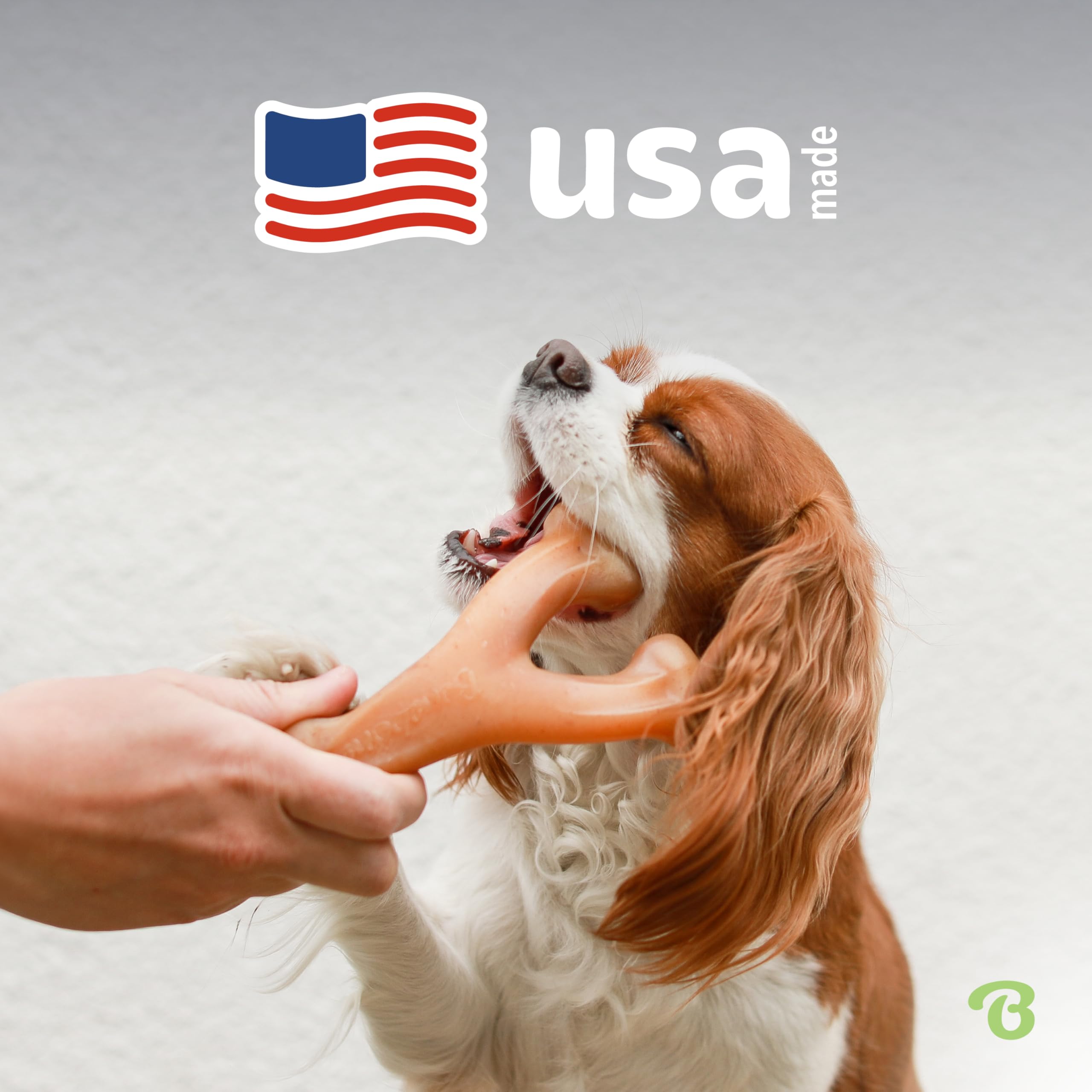 Étiquette Benebone détaillant ingrédients et origine USA, Benebone rassure propriétaire
