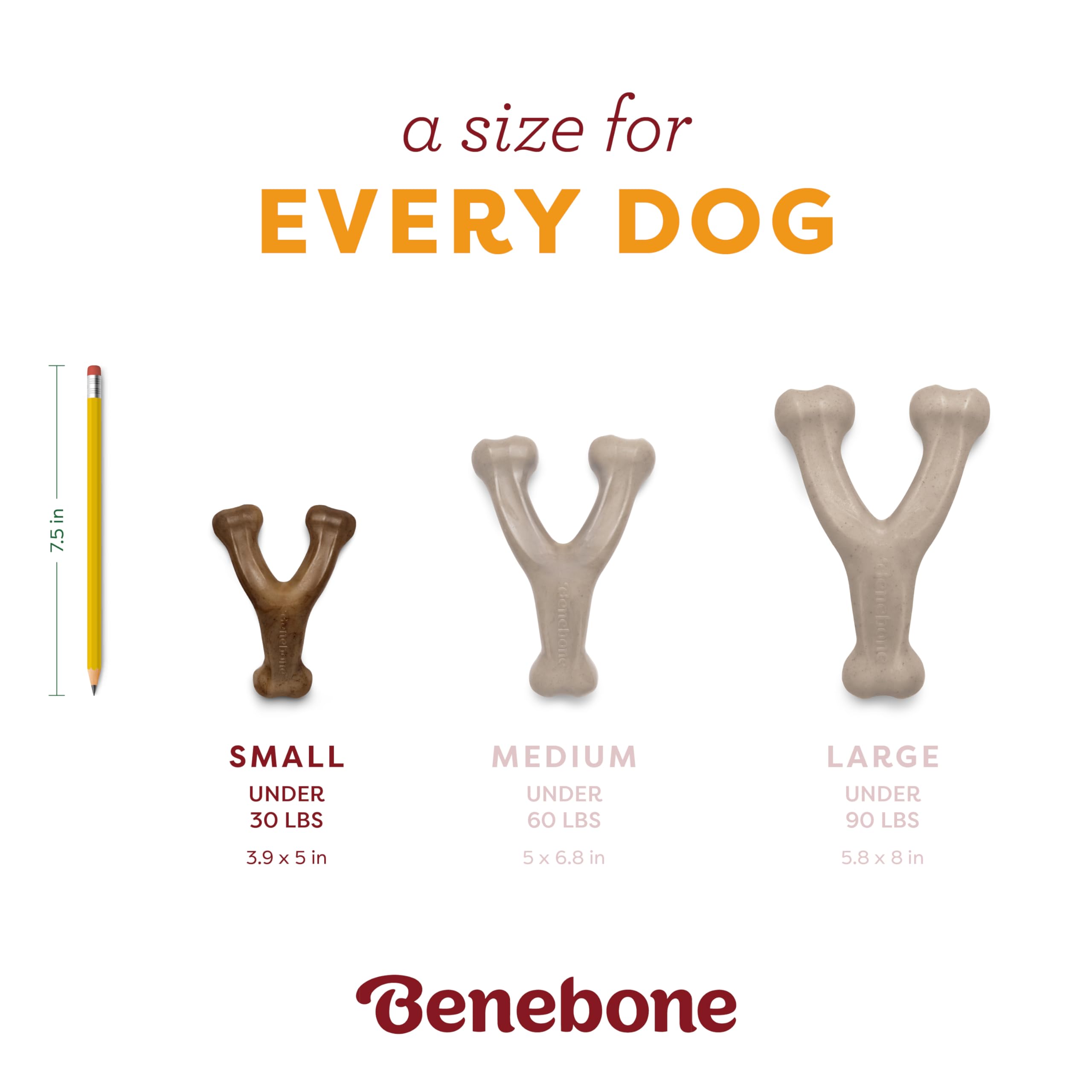 Étiquette Benebone sur le jouet montrant fabrication USA et robustesse