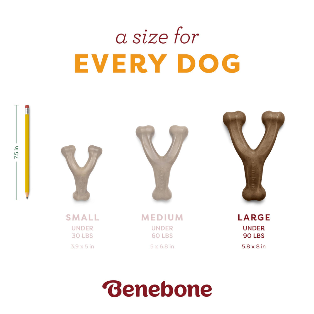 Vue de profil du wishbone Benebone illustrant la prise facile pour la patte