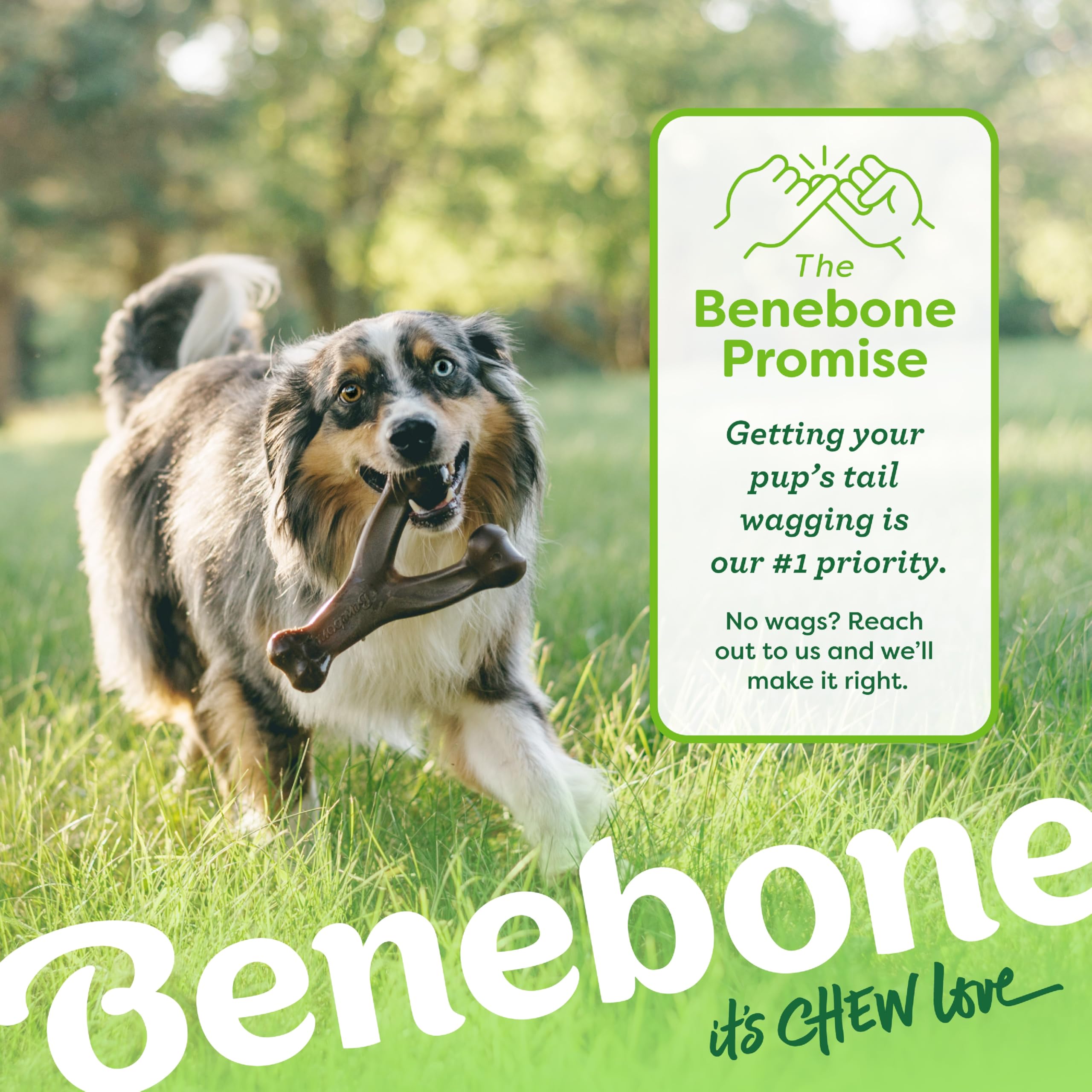 Benebone Wishbone dans coffre de voiture pendant un trajet, compagnon d’apaisement en voyage