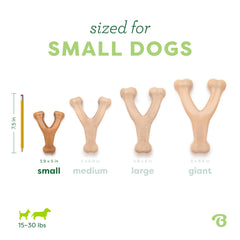Benebone Wishbone comparaison taille à côté d'un jouet pour évaluer l'échelle
