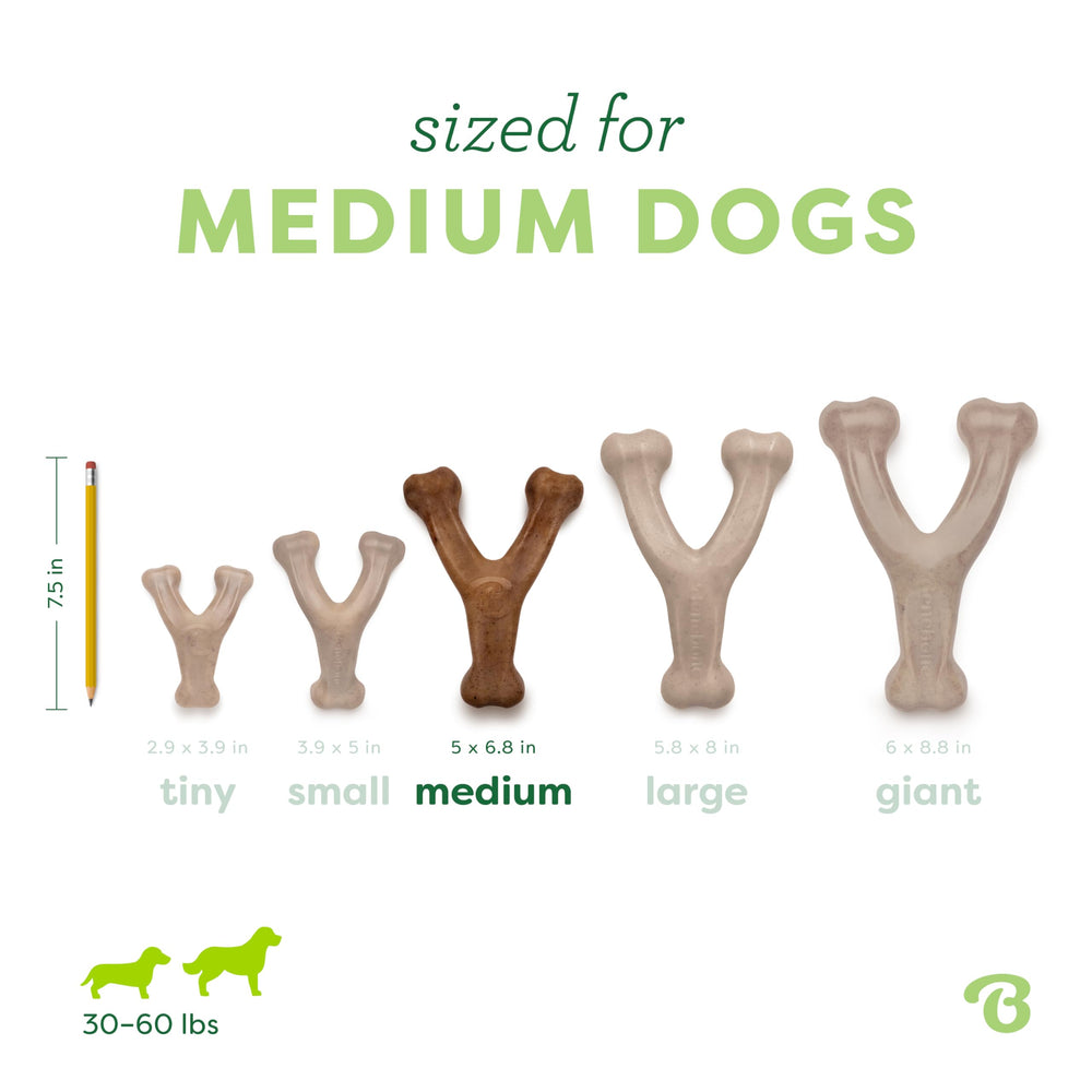 Comparaison taille Benebone Wishbone medium à une main humaine, Benebone adapté