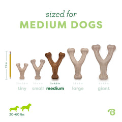 Comparaison taille Benebone Wishbone medium à une main humaine, Benebone adapté