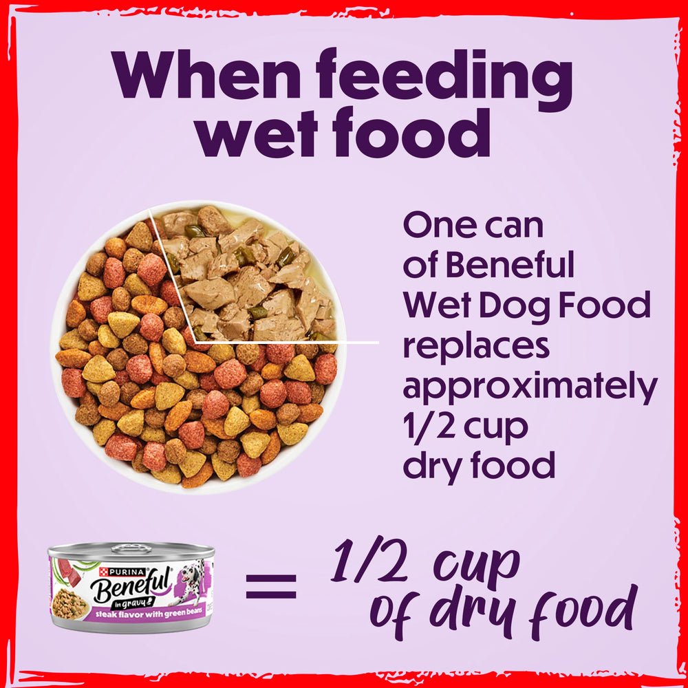 Beneful chien mange avec enthousiasme montrant acceptation par l’animal