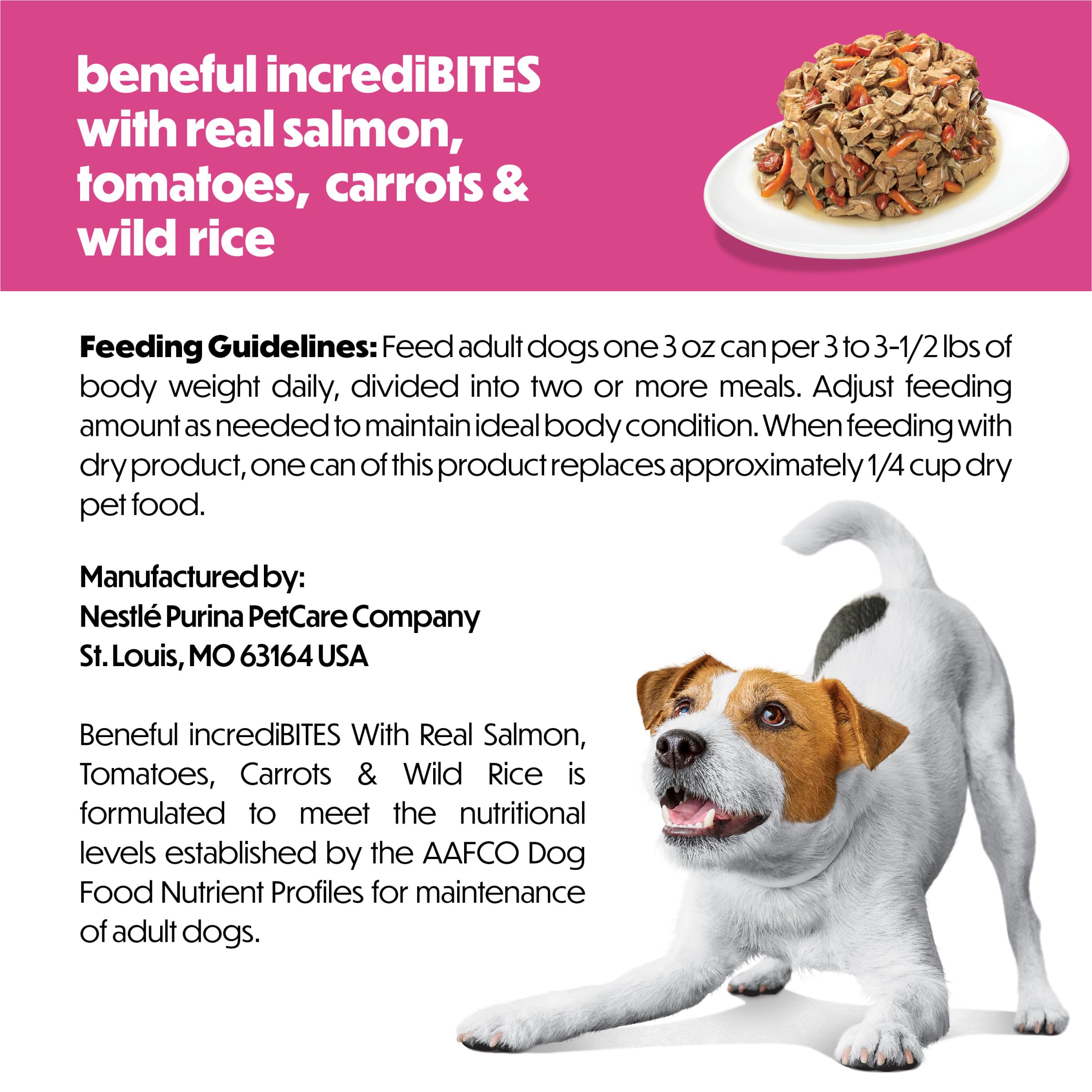 Petit chien mange Beneful IncrediBites en cuisine montrant appétence et plaisir