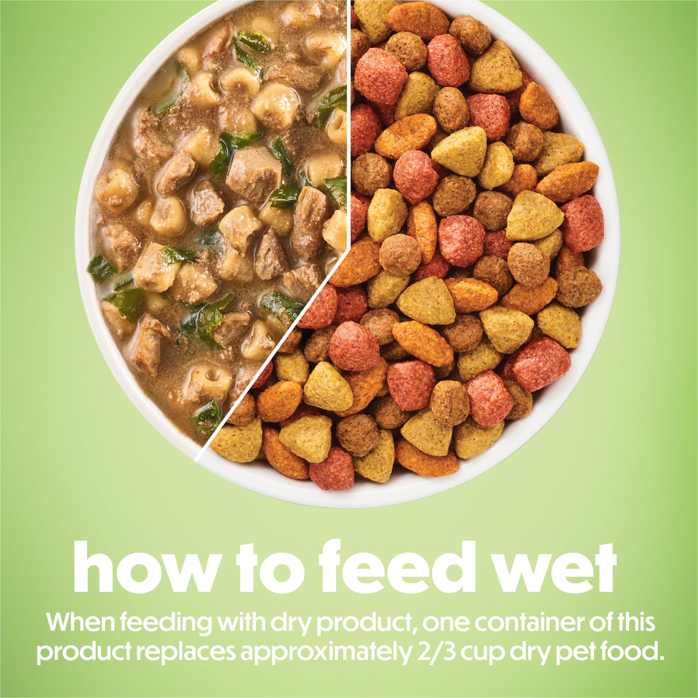 Beneful Purina chien dégustant dans cuisine, moment repas agréable