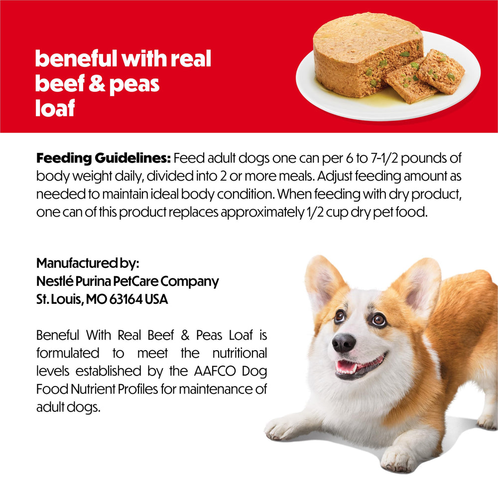 Beneful Purina chien mange avec appétit démontrant attrait gustatif