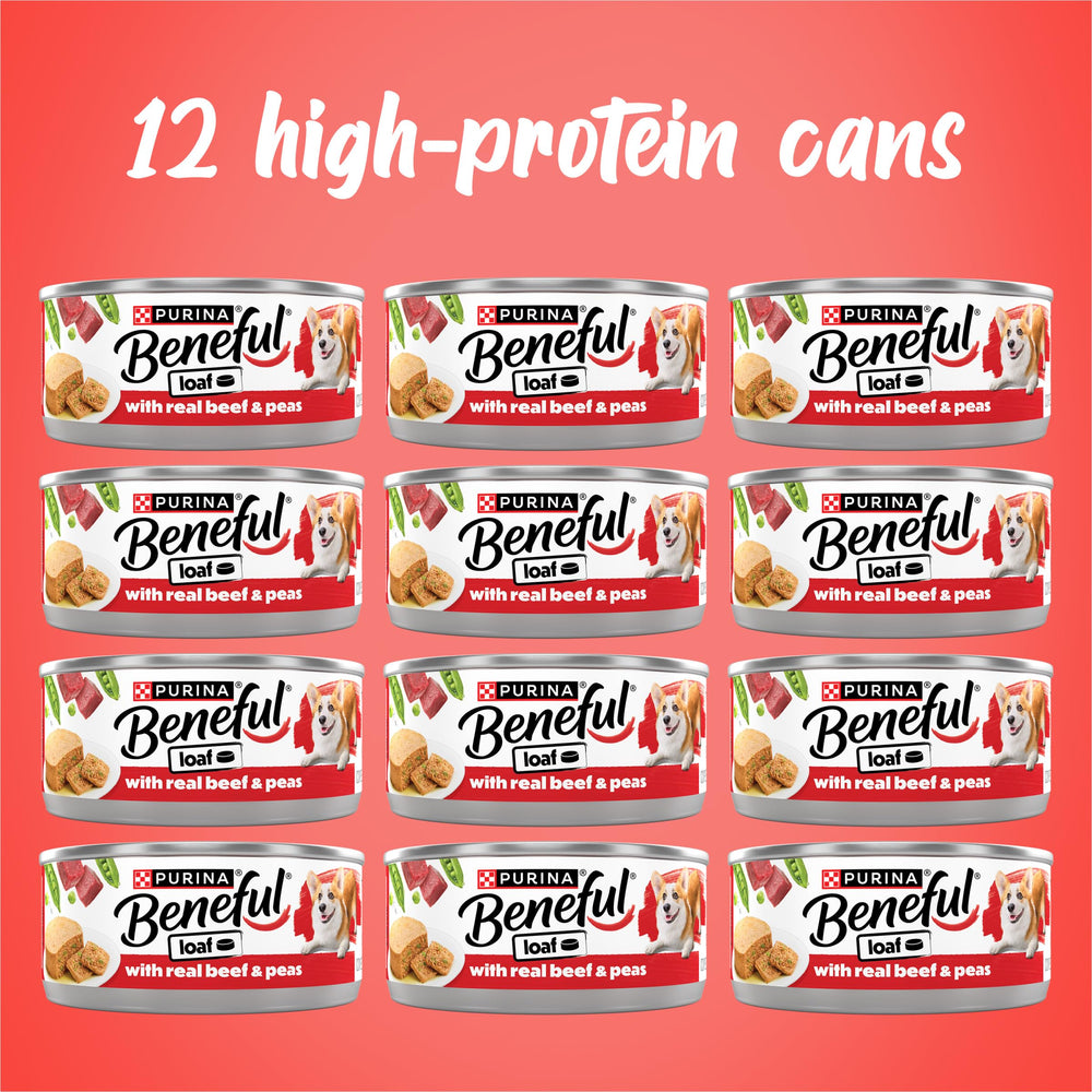 Beneful Purina servi sur croquettes ajoutant saveur et hydratation au repas