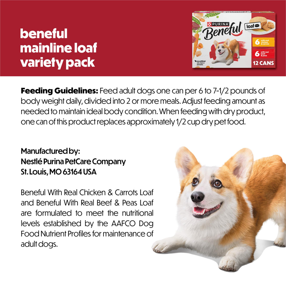 Beneful Purina assiette servie pour chien mettant en valeur la présentation