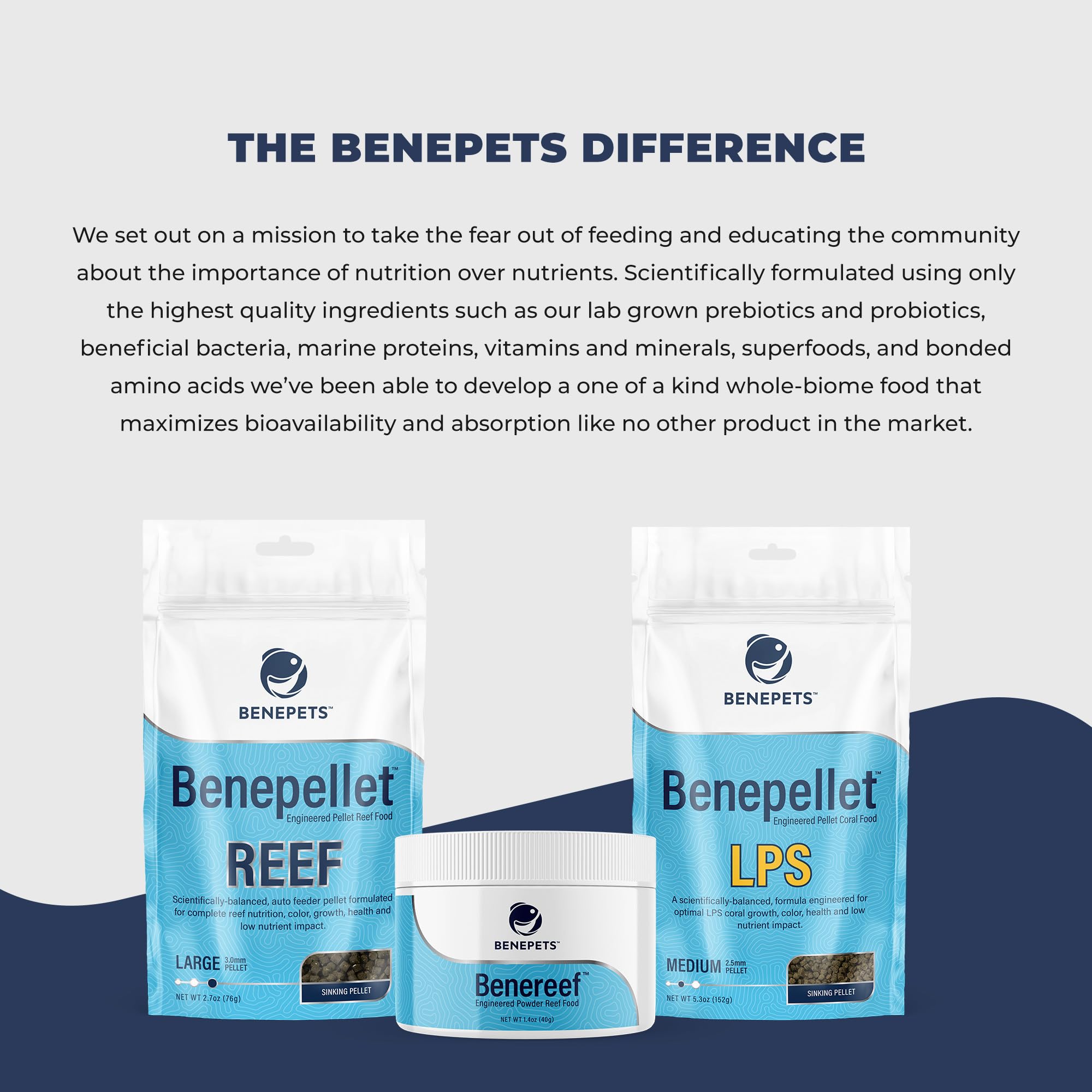 Benepets BeneReef dans un bac récifal vivant montrant couleurs améliorées