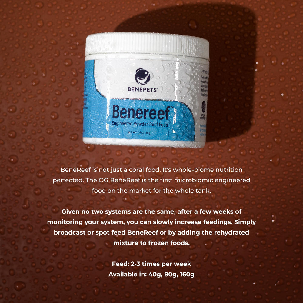 Benepets BeneReef comparaison d'échelle pour le pot de 40 g pratique
