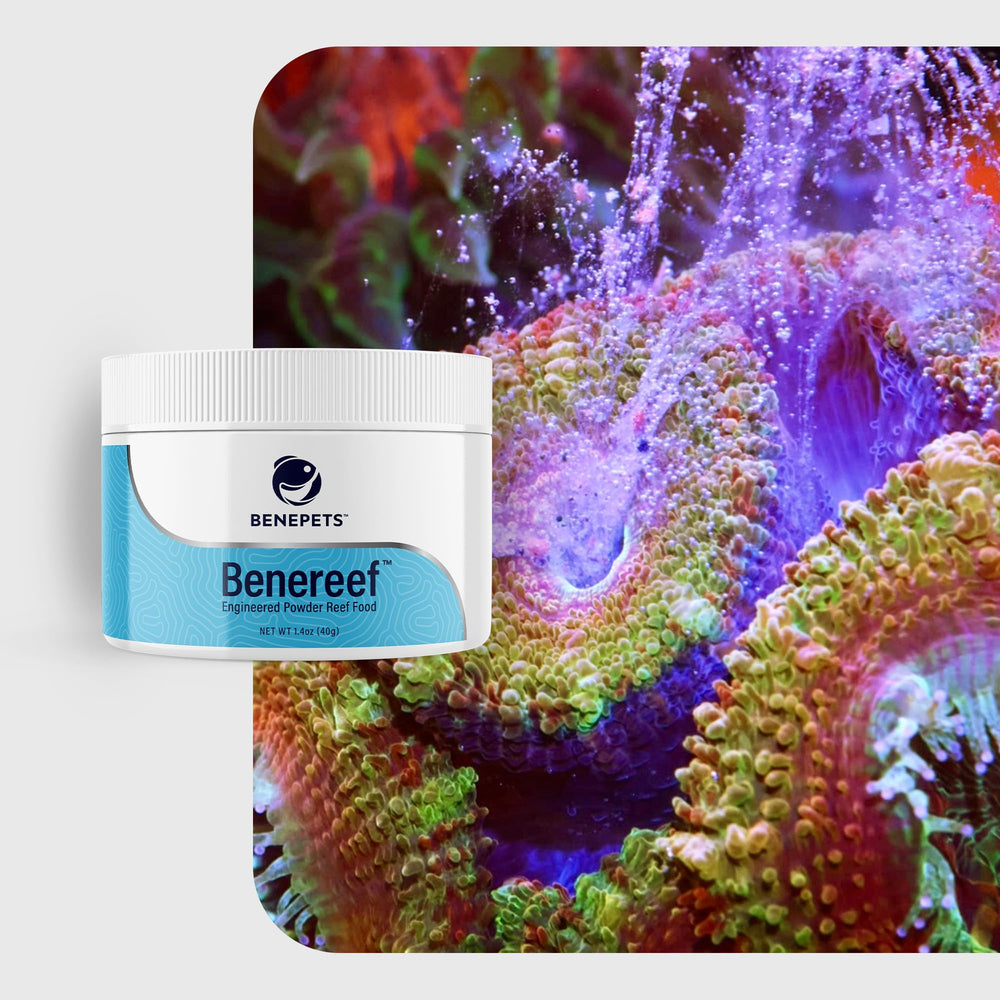 Benepets BeneReef étiquette montrant analyse garantie et probiotiques