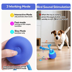 BENTOPAL balle avec ficelle en mouvement pour stimuler la chasse