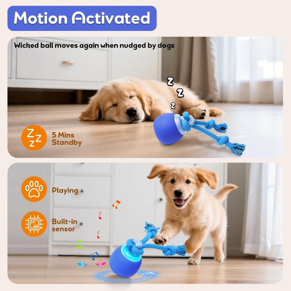 BENTOPAL gros plan texture et matériaux, durable pour petits chiens